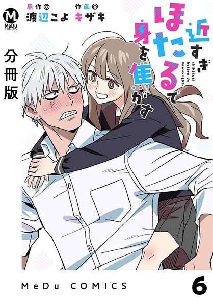 【分冊版】近すぎほたるで身を焦がす 6