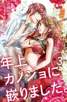 年上カノジョに嵌りました。〜濃蜜オフィス進行中
