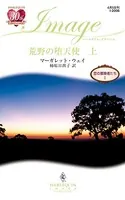 恋の冒険者たち
