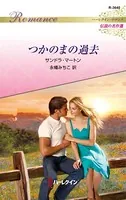 つかのまの過去