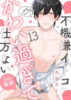 不機嫌イトコがかわい過ぎて仕方ない （13） side直樹