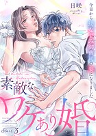 素敵なワケあり婚 今日から幼なじみ御曹司の妻になりました start.3《カノンミア》