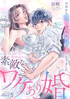 素敵なワケあり婚 今日から幼なじみ御曹司の妻になりました start.5《カノンミア》
