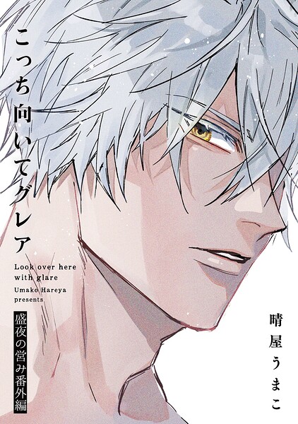 こっち向いてグレア 盛夜の営み番外編【特典小冊子電子版】（単話）