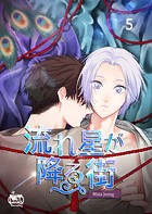 流れ星が降る街 番外編5