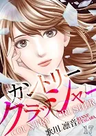 カントリークラッシャー（17）