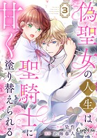 偽聖女の人生は聖騎士に甘く塗り替えられる（3）