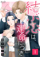 結ぶ恋は、運命につき（単話）
