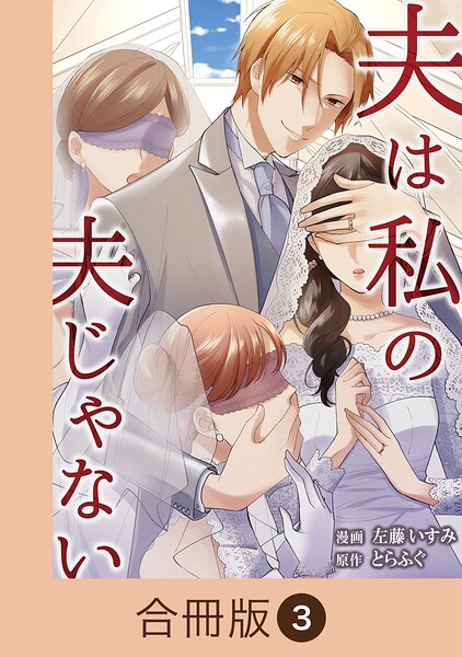 夫は私の夫じゃない【合冊版】（3）