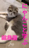 にゃんこと学ぶ総集編（1）