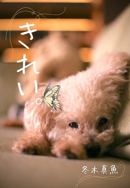 きれい。