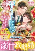 若きエリート閣僚に甘く狡猾に娶られました〜策士すぎる彼は最愛の妻を捕らえて離さない〜