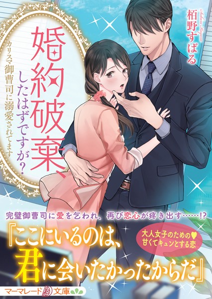 商品ページ画像