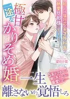 極甘一途なかりそめ婚〜私にだけ塩対応の天才外科医が熱愛旦那様になりました〜