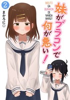 妹がブラコンで何が悪い！【同人版】（2）