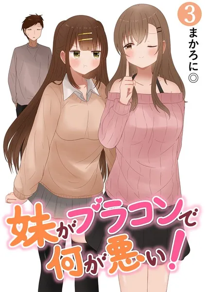 妹がブラコンで何が悪い！【同人版】（3）