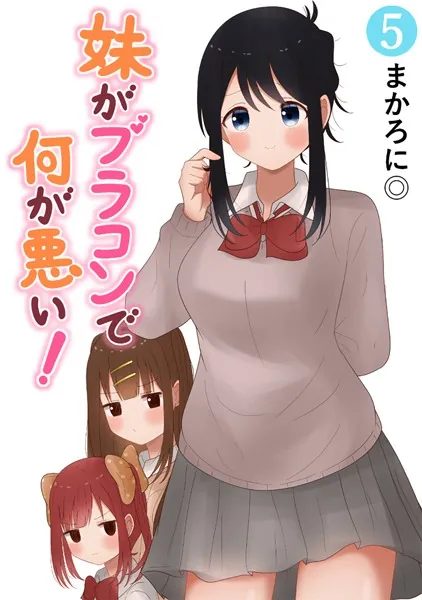 妹がブラコンで何が悪い！【同人版】（5）