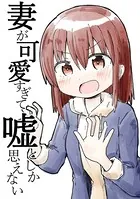 妻が可愛すぎて嘘としか思えない（単話）