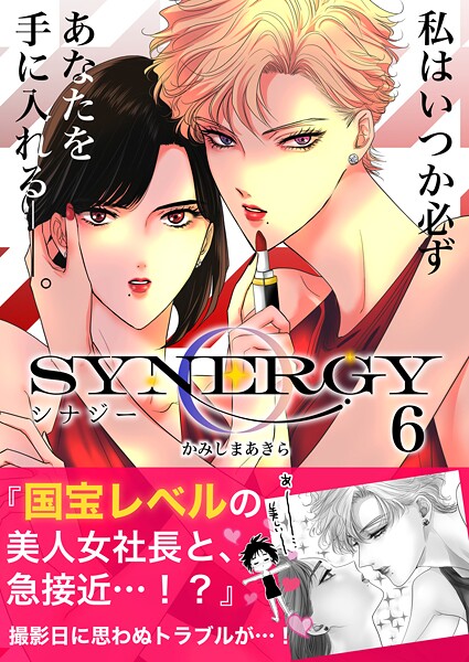 シナジー 6