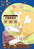 いぬもあるけばさいろくぼん。 十三