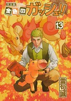 金色のガッシュ！！ 完全版 （13）