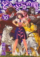 どうぶつの国 完全版 （10）