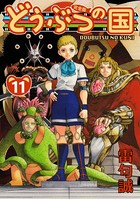 どうぶつの国 完全版 （11）