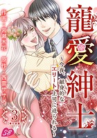 寵愛紳士～今夜、献身的なエリート上司に迫られる～ 単行本版
