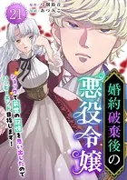 婚約破棄後の悪役令嬢〜ショックで前世の記憶を思い出したのでハッピーエンド目指します！〜 （21）