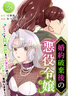婚約破棄後の悪役令嬢〜ショックで前世の記憶を思い出したのでハッピーエンド目指します！〜 （28）