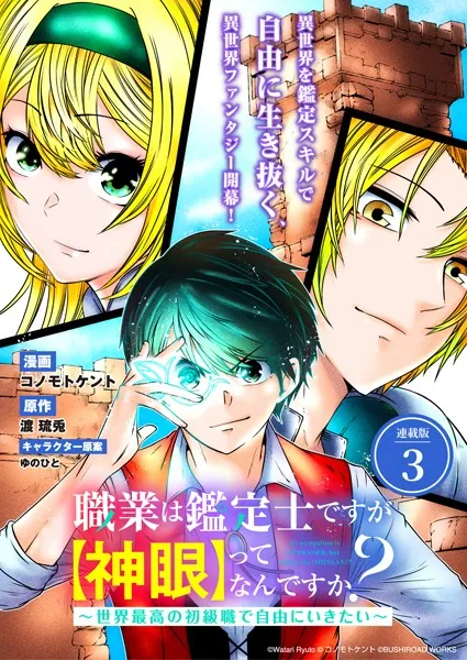 職業は鑑定士ですが【神眼】ってなんですか？ 〜世界最高の初級職で自由にいきたい〜 連載版:3