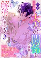拝啓王子殿下、大人の関係を解消しましょう 〜「ただの夜伽相手だ」と言った王子が、なぜか溺愛してくるのですが！？ 〜 3
