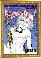 見てはいけない（単話）