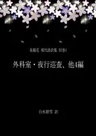 泉鏡花 現代語訳集 別巻