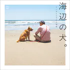 海辺の犬。