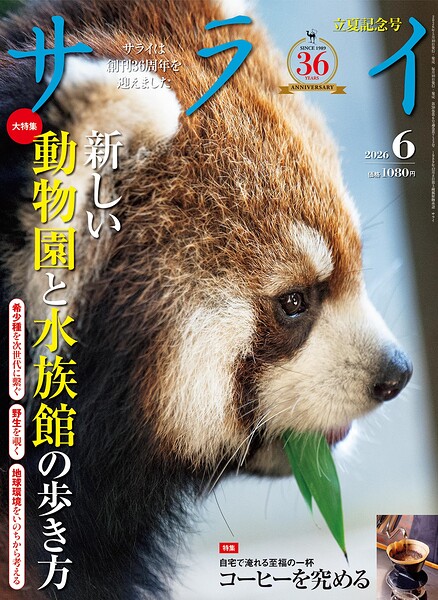 サライ
