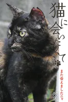 猫に会いたくて また会えましたニャ
