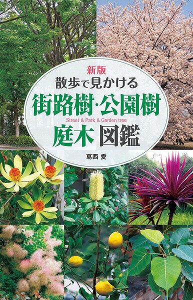 新版 散歩で見かける 街路樹・公園樹・庭木図鑑
