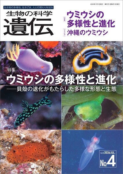 生物の科学 遺伝 2026年7月発行号 Vol.80 No.4
