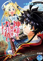 神様は異世界にお引越ししました【合冊版】 10