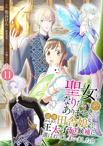 聖女になりたい訳ではありませんが 辺境からきた田舎娘なのに王太子妃候補に選ばれてしまいました！？【合冊版】 11