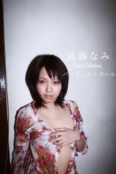 武藤なみ パーフェクトガール 表紙
