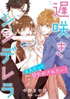 遅咲きシンデレラ 大人だって甘やかされたい！（単話）