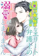 過保護なエリート弁護士の溺愛がとまりません