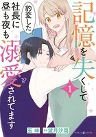 記憶を失くして豹変した社長に昼も夜も溺愛されてます