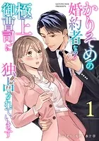 かりそめの婚約者なのに極上御曹司に独占されています【分冊版】（単話）