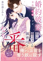 <極上α × 令嬢Ωシリーズ>婚約破棄された令嬢ですが、私を嫌っている御曹司と番になりました。