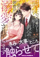 地味な派遣OLの私ですが、再会した一途な御曹司に溺愛されています