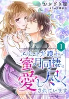 エリート弁護士に蜜月同棲で愛し尽くされています【分冊版】（単話）
