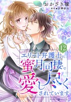 エリート弁護士に蜜月同棲で愛し尽くされています【分冊版】（単話）